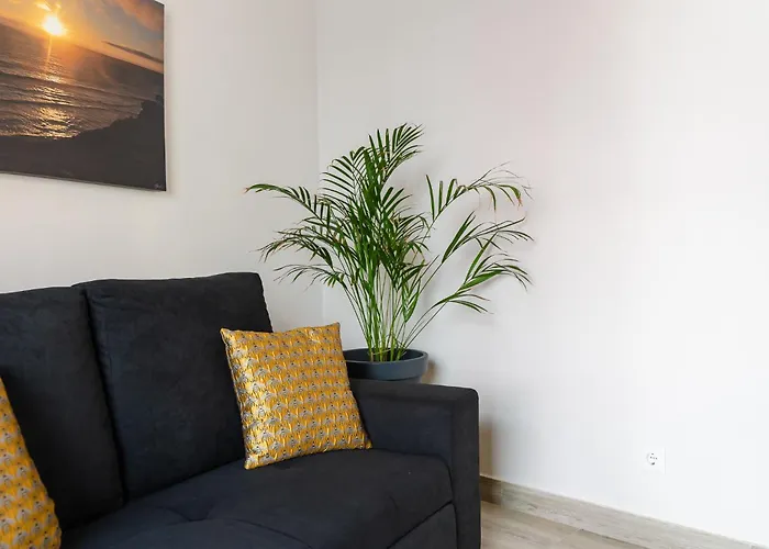 公寓 Spacious Stylish